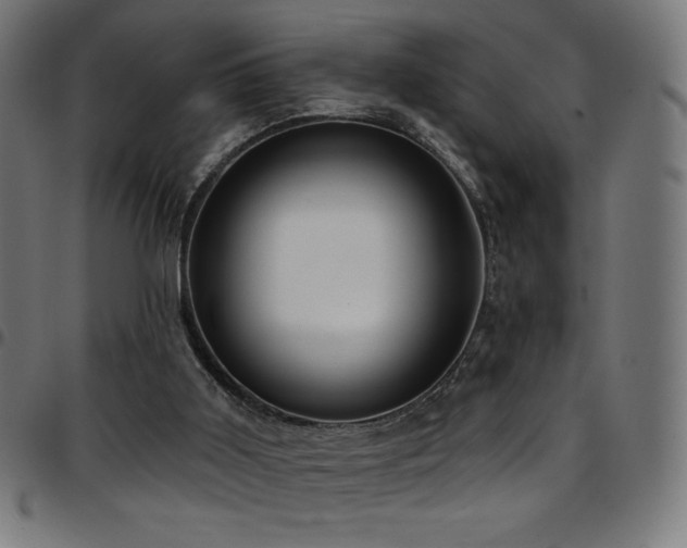 X0000097750011200803071259