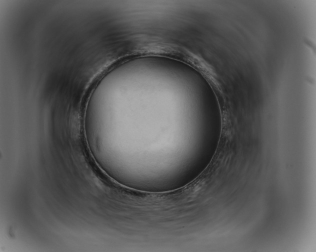 X0000097750012200803071259