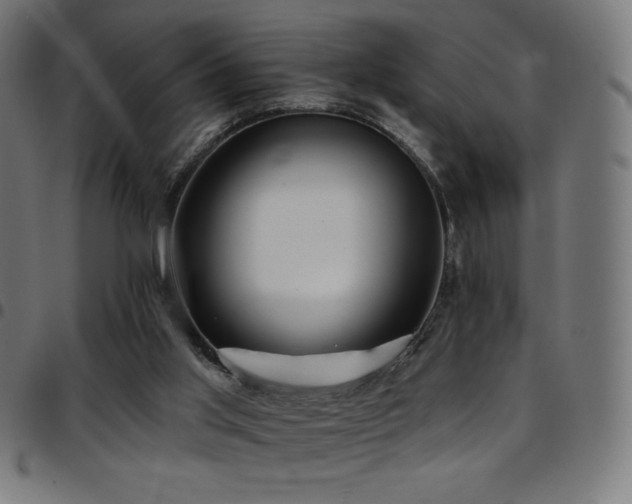 X0000097750013200803071259