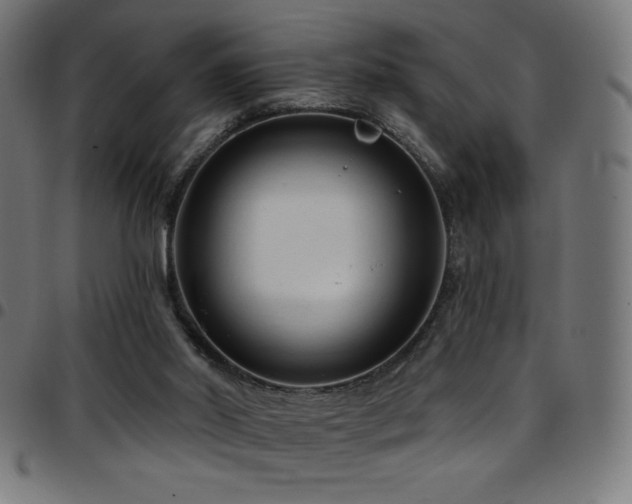 X0000097750014200803071258