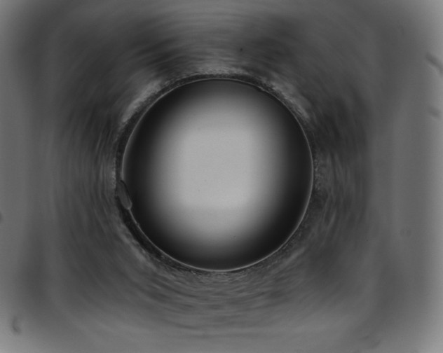 X0000097750015200803071258