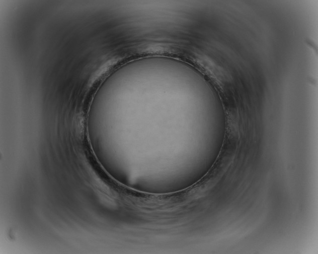 X0000097750016200803071258