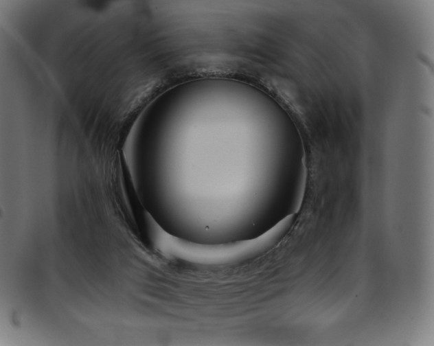 X0000097750017200803071258