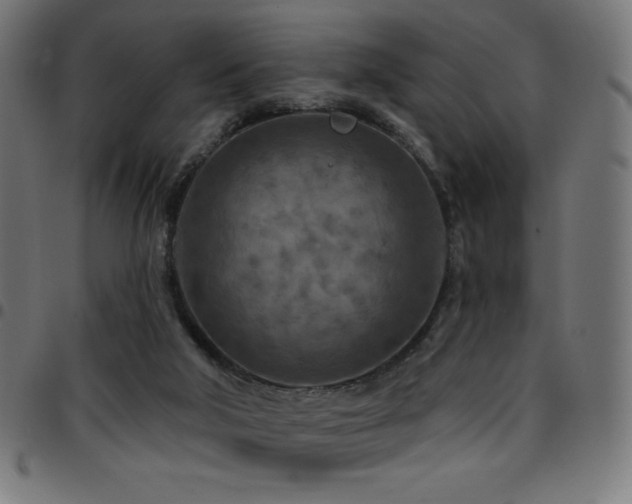 X0000097750018200803071258