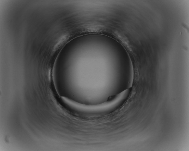 X0000097750019200803071258