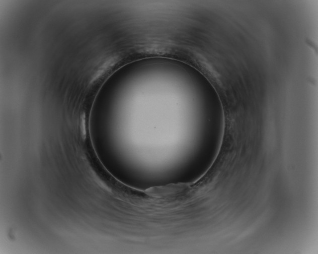 X0000097750020200803071258