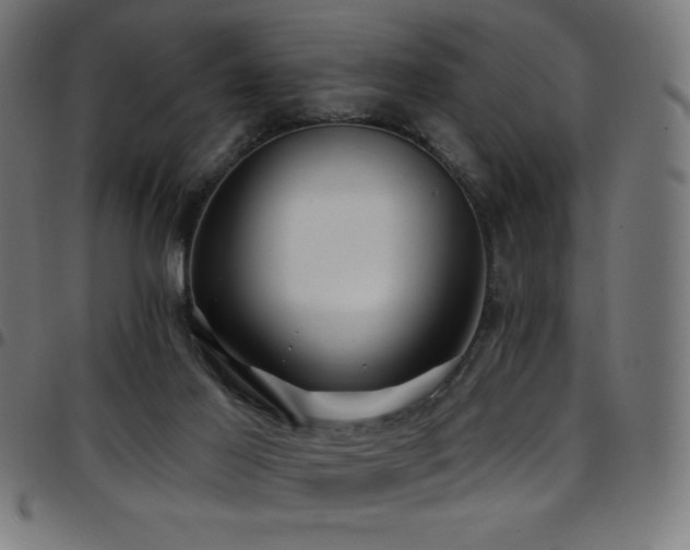 X0000097750021200803071258