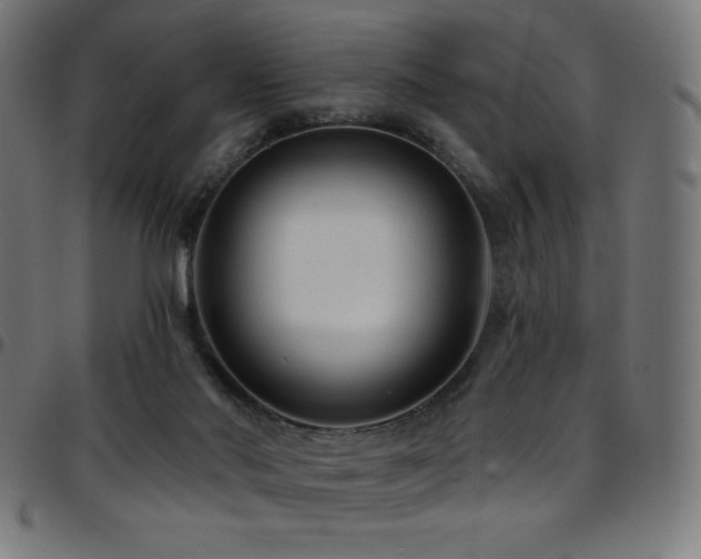 X0000097750022200803071258