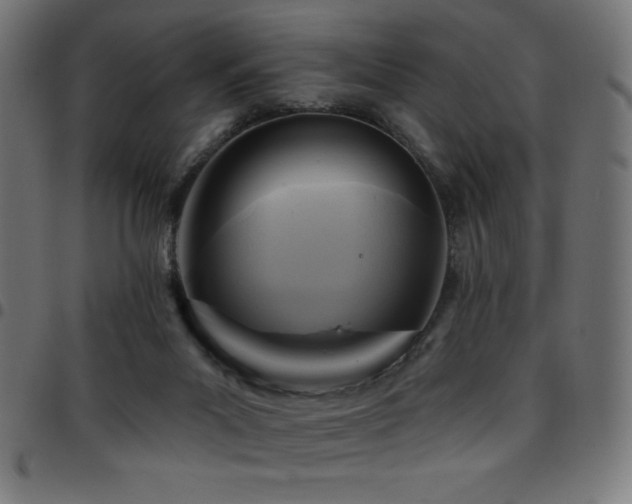 X0000097750023200803071258