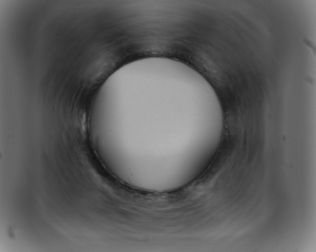 X0000097750024200803071258