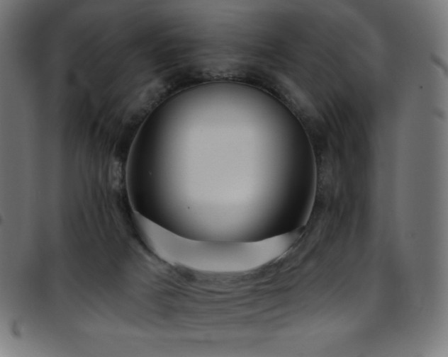 X0000097750025200803071258