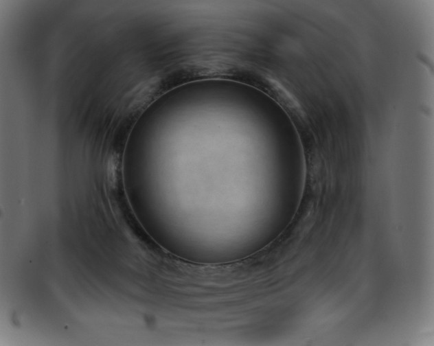 X0000097750026200803071258