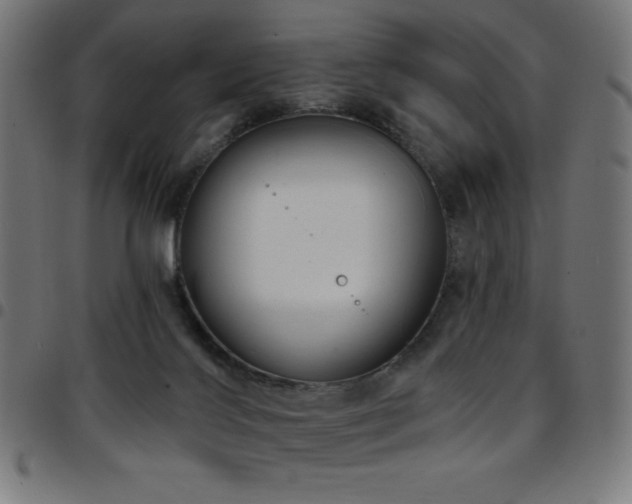 X0000097750028200803071258