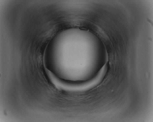 X0000097750029200803071258