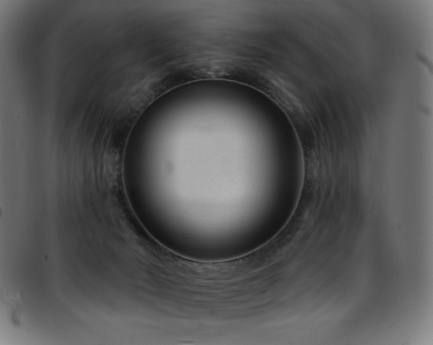 X0000097750030200803071258