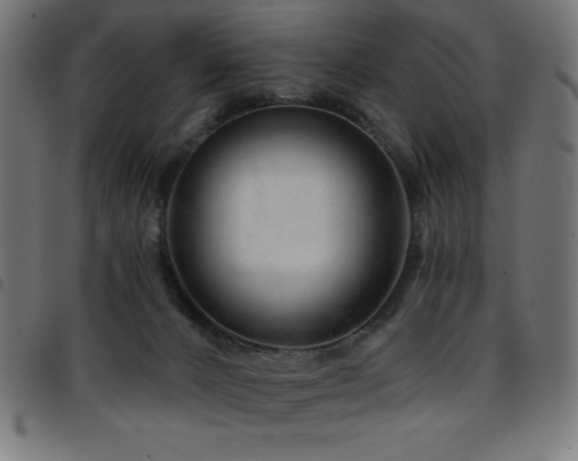 X0000097750032200803071258