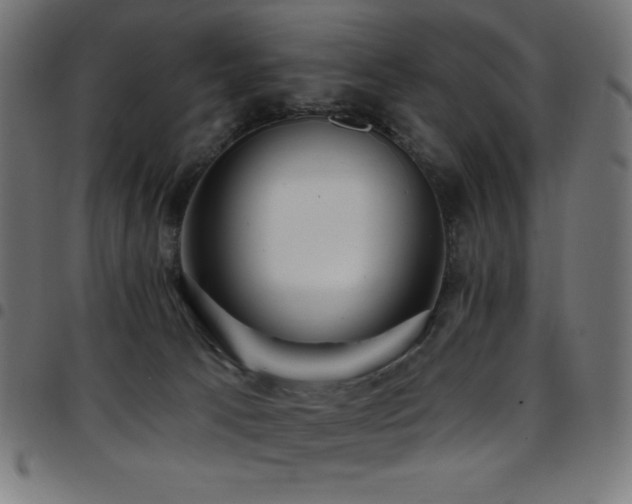 X0000097750033200803071258