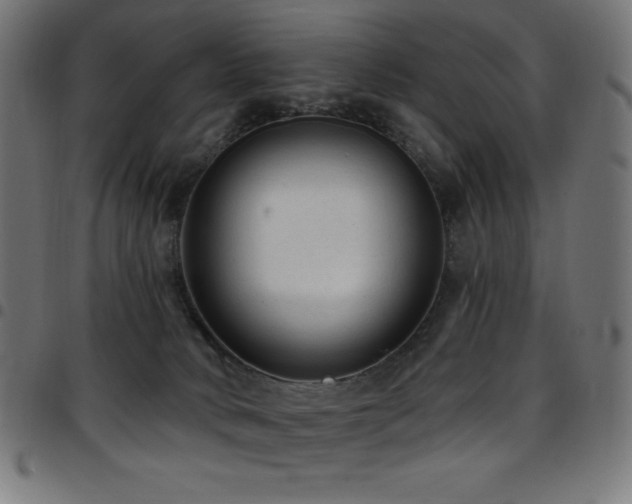 X0000097750034200803071258