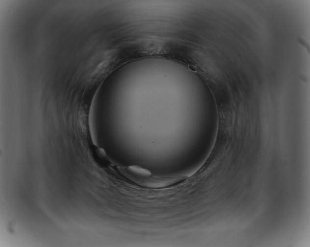 X0000097750035200803071258