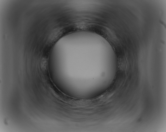 X0000097750036200803071258