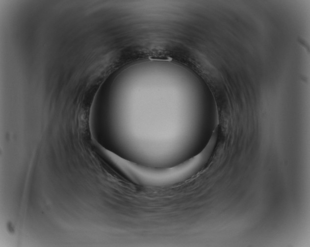 X0000097750037200803071258