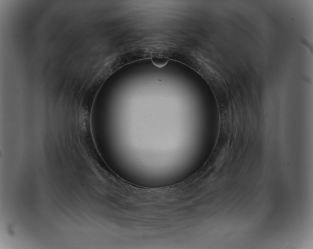 X0000097750038200803071258