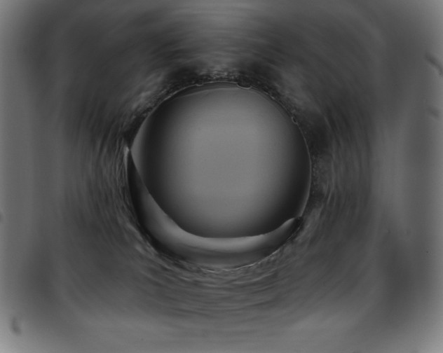 X0000097750039200803071258