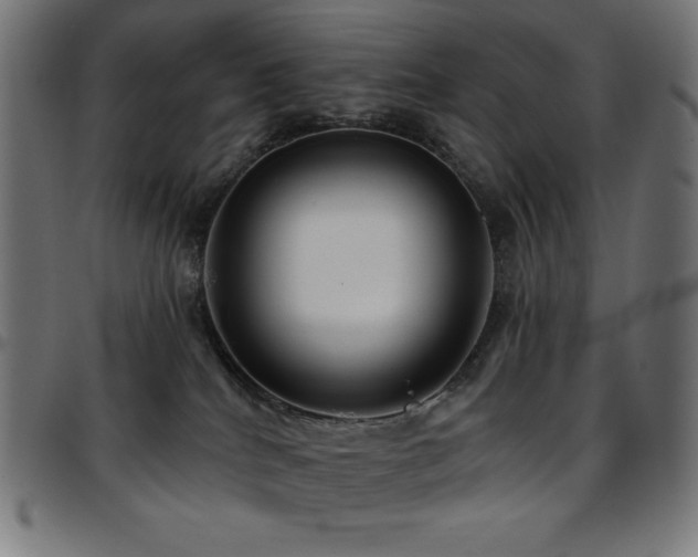 X0000097750040200803071258