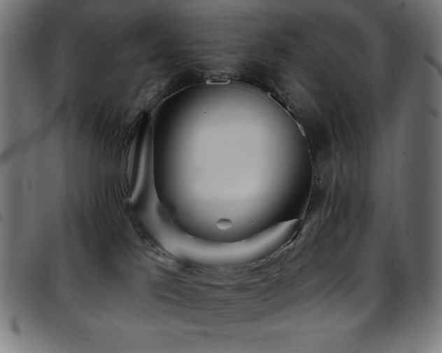 X0000097750041200803071258