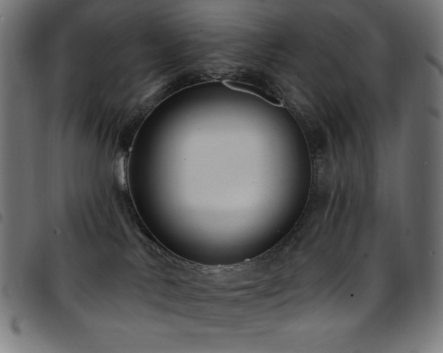 X0000097750042200803071258