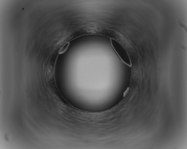 X0000097750043200803071258