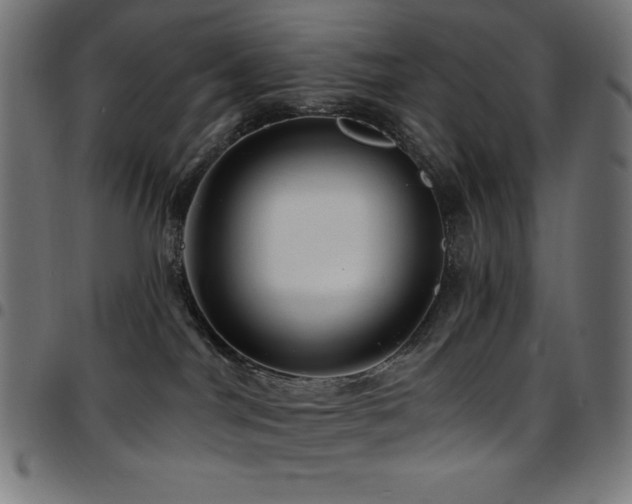 X0000097750044200803071258