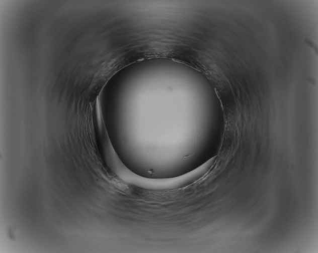 X0000097750045200803071258