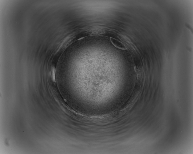 X0000097750046200803071258