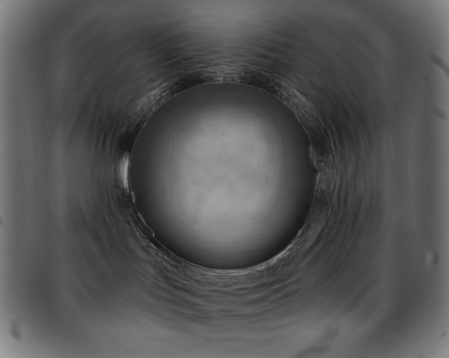 X0000097750047200803071258