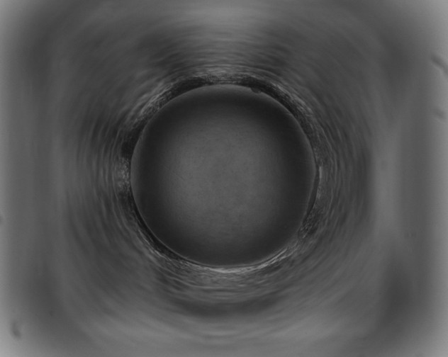 X0000097750048200803071258