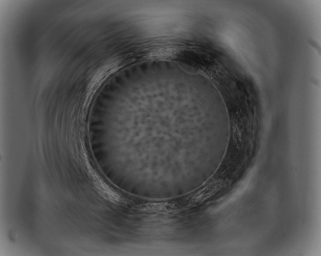 X0000097750049200803071257