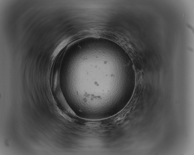 X0000097750051200803071257