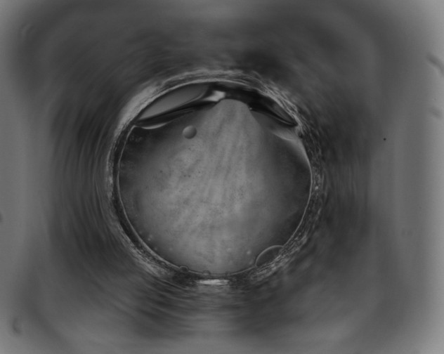 X0000097750053200803071257