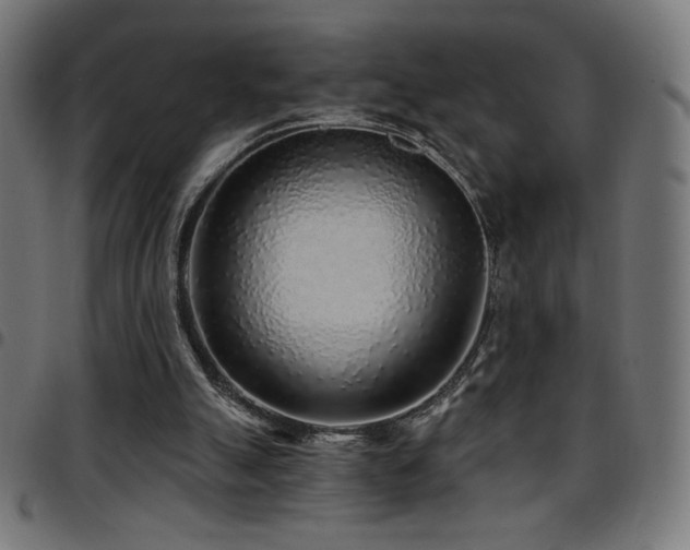 X0000097750055200803071257