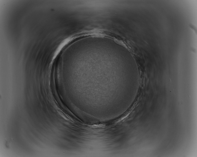 X0000097750056200803071257