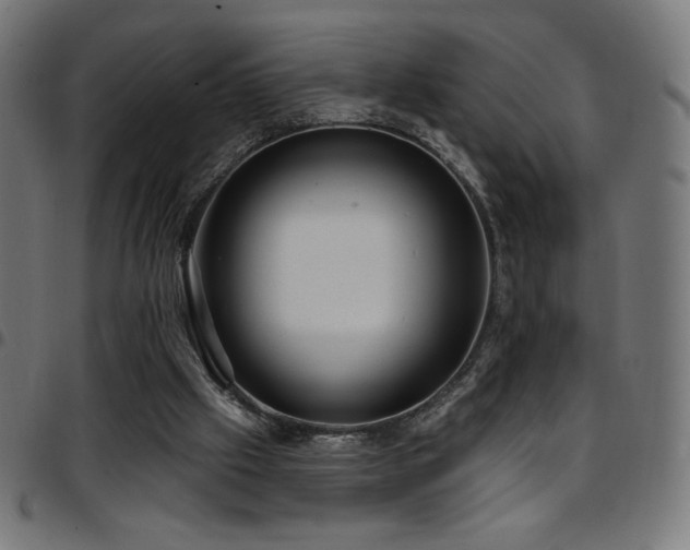 X0000097750057200803071257