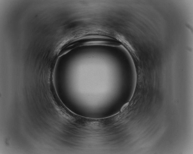 X0000097750058200803071257