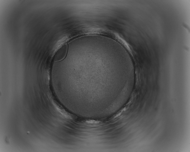 X0000097750059200803071258