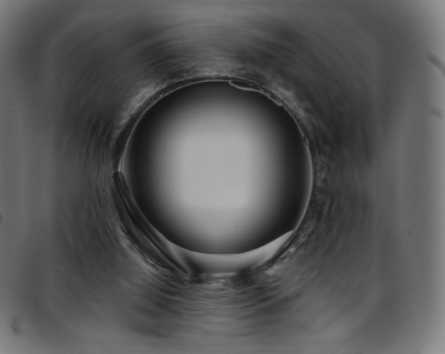 X0000097750060200803071258