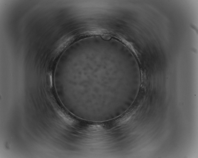 X0000097750061200803071258