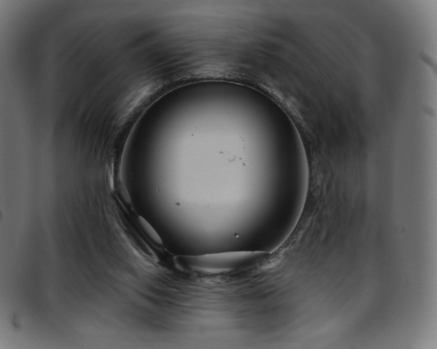 X0000097750062200803071258