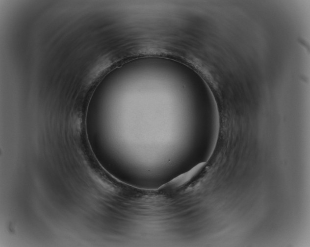 X0000097750063200803071258