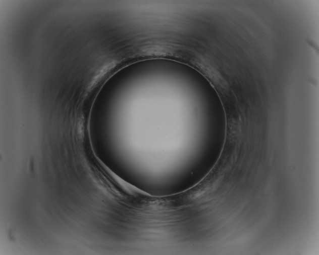 X0000097750064200803071258