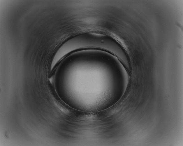 X0000097750065200803071258